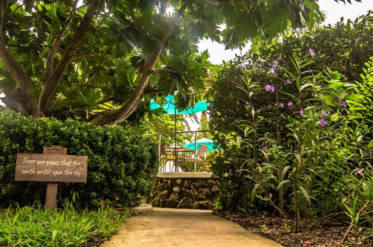 Harbour View Boutique Hotel&Yoga Retreat Belize City Extérieur photo